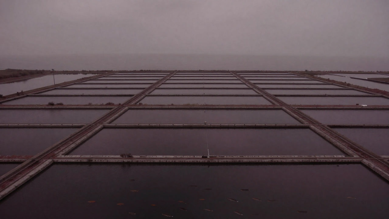 Photo of anxious fish swimming in artificially enclosed ponds