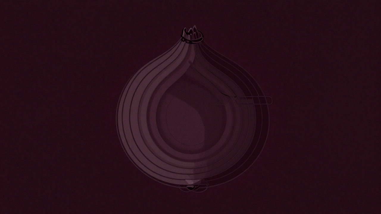 Illustration of a software architecture diagram layered like an onion, hiding its core layers