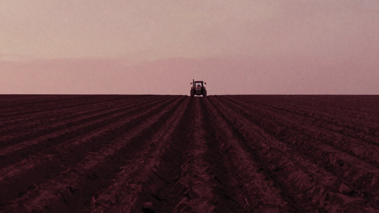 軽くトラクターが走っただけで土がさっぱりと見える畑の風景