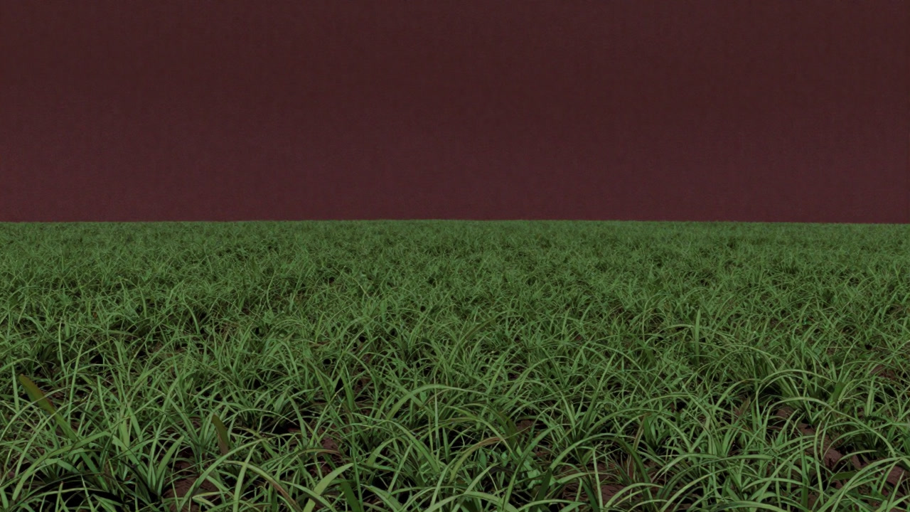 荒涼とした畑に一面に緑の絨毯を敷き詰めた被覆作物の光景