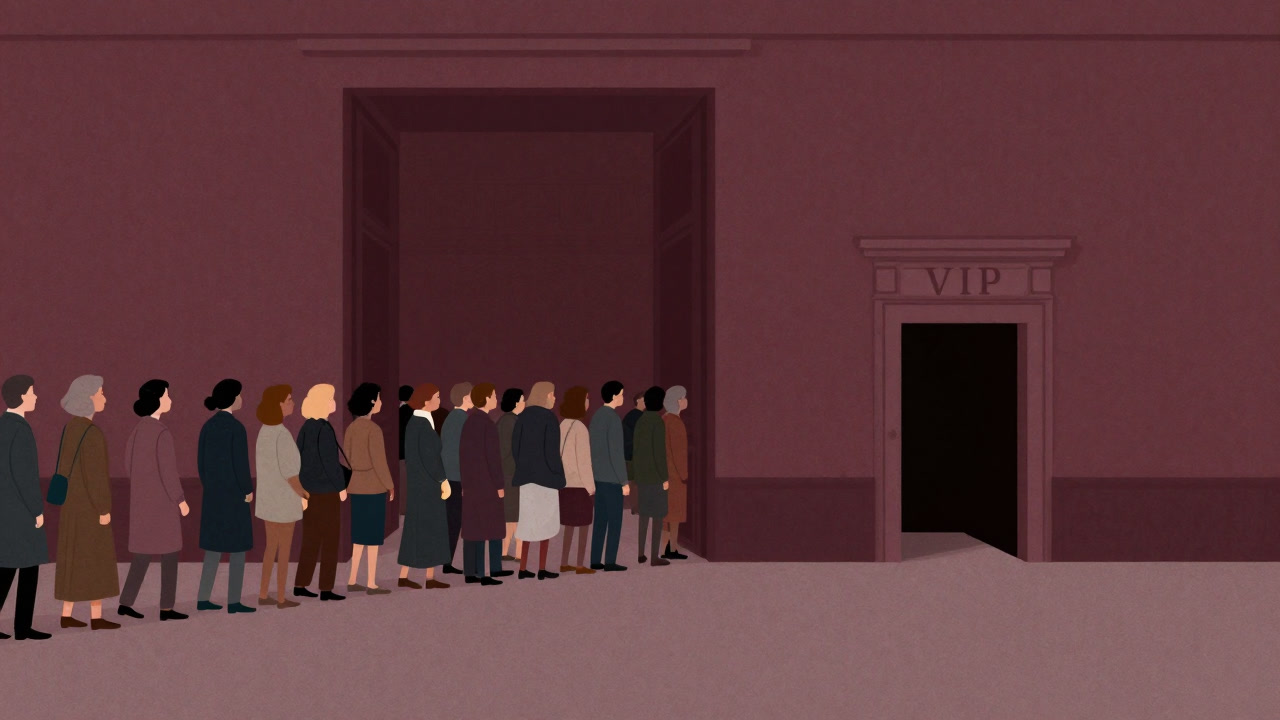Illustration showing disparity between people queuing at a museum gate and a VIP entrance