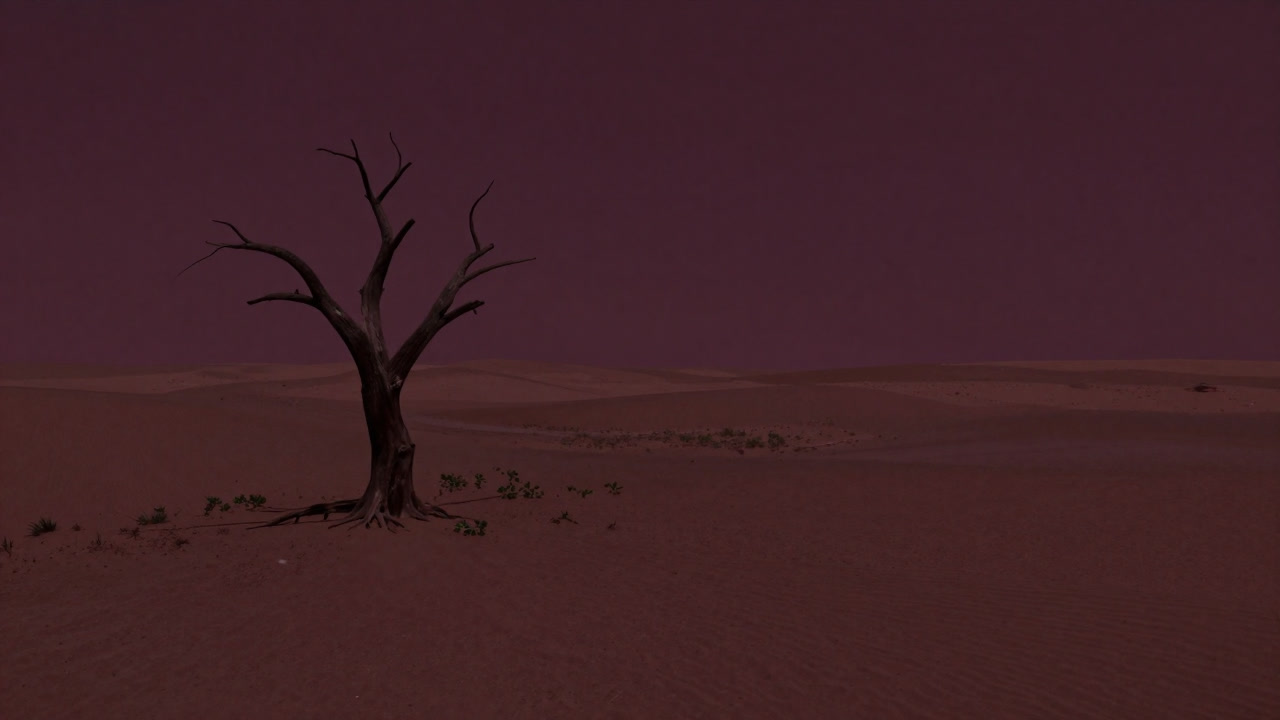 A lone dead tree before a vast desert, with faint traces of fading greenery.