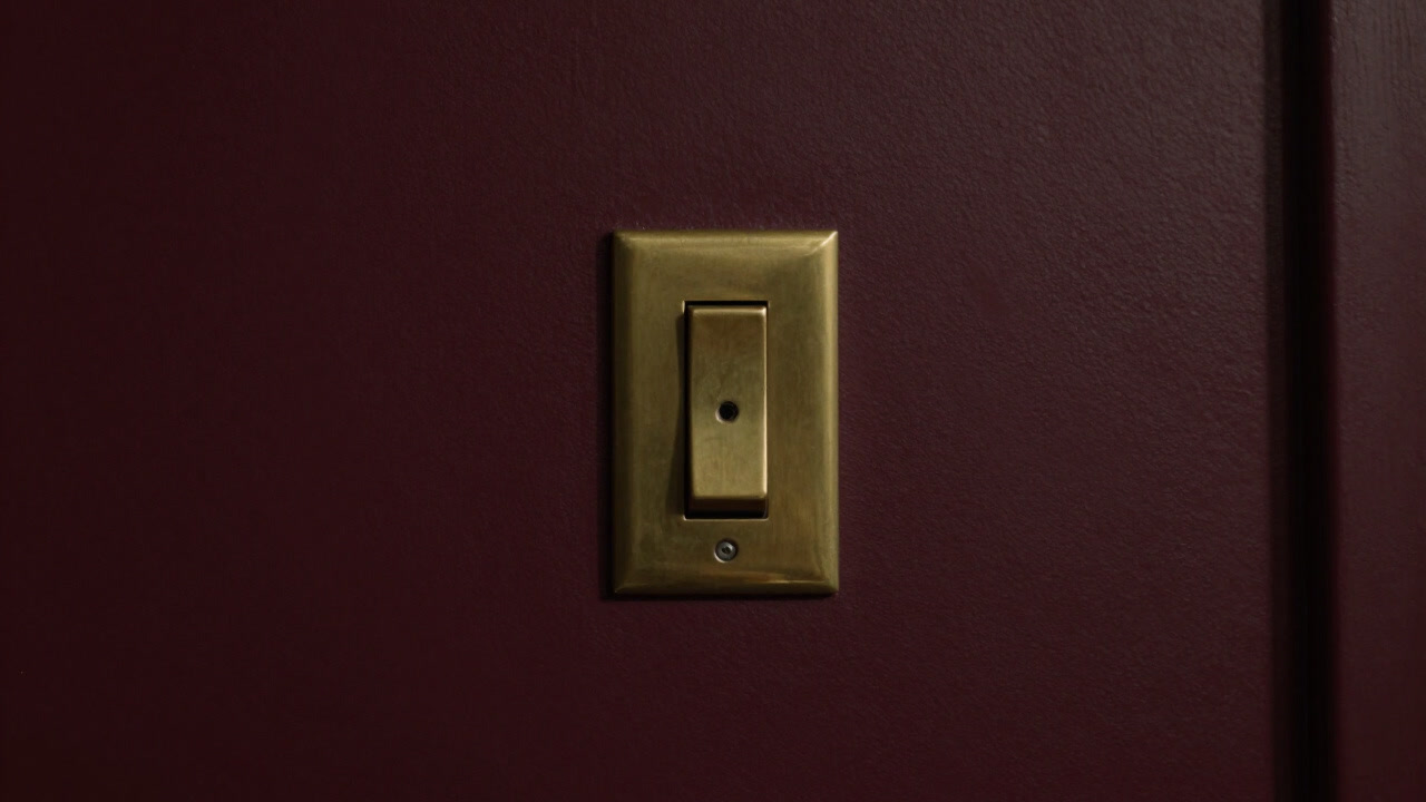 Photo of an antique dimmer switch installed in a dimly lit living room