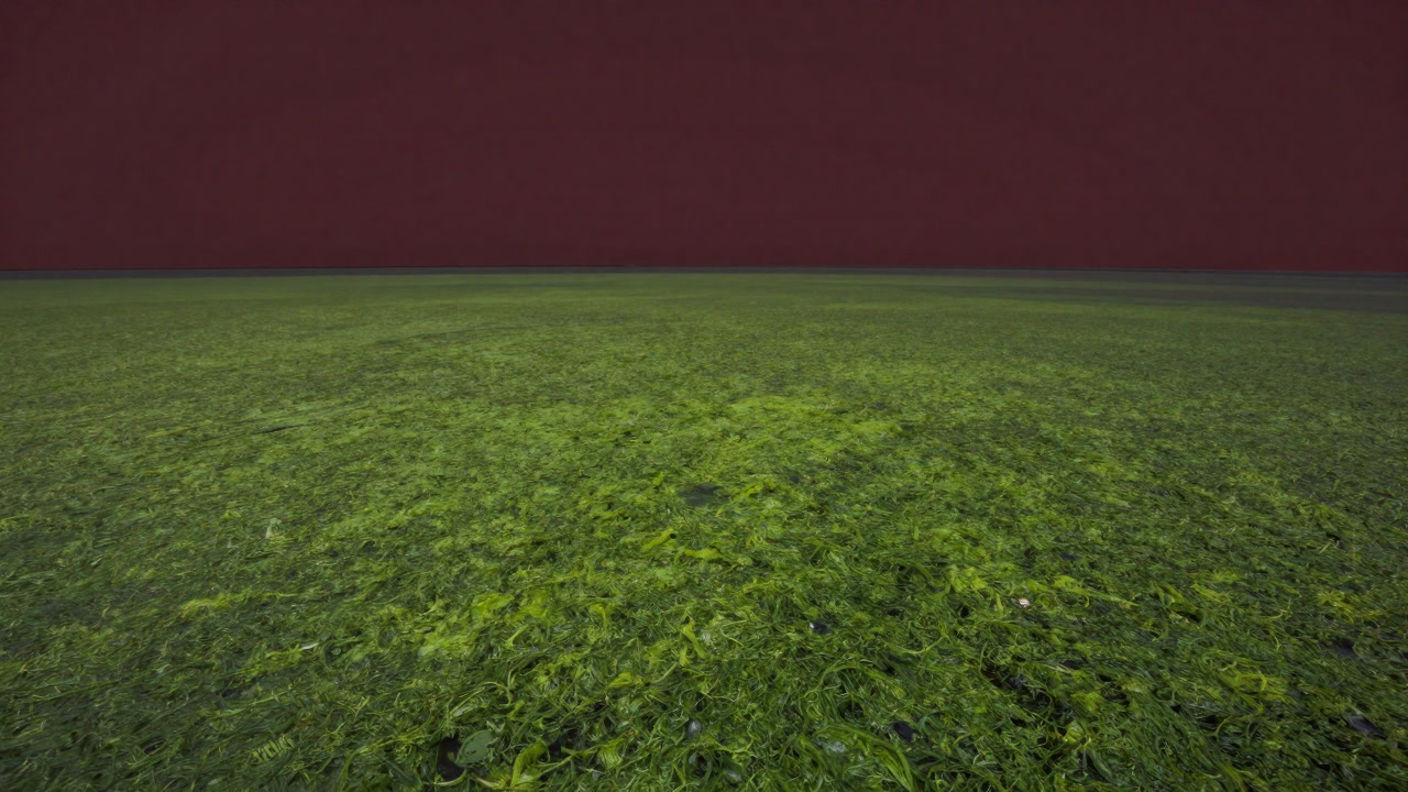 緑色の藻が一面を覆い尽くし、まるでスムージーのような湖の写真