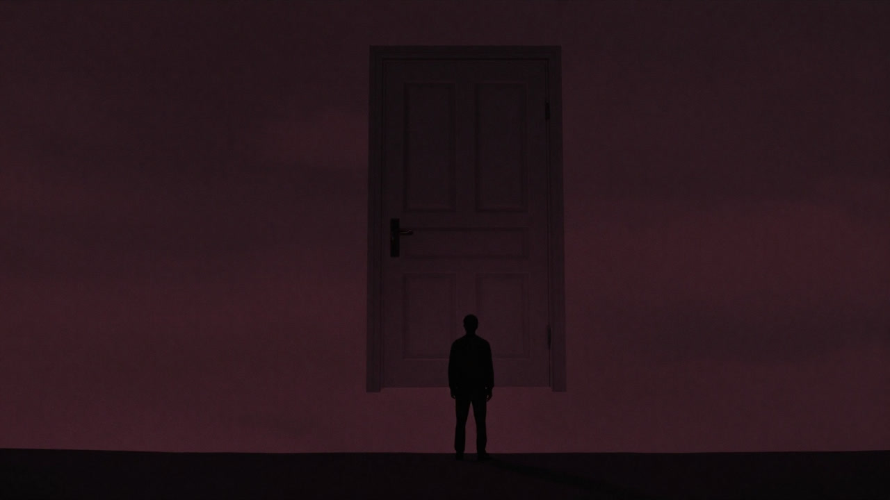 Silhouette of a person gazing at an unknown door floating in the night sky.