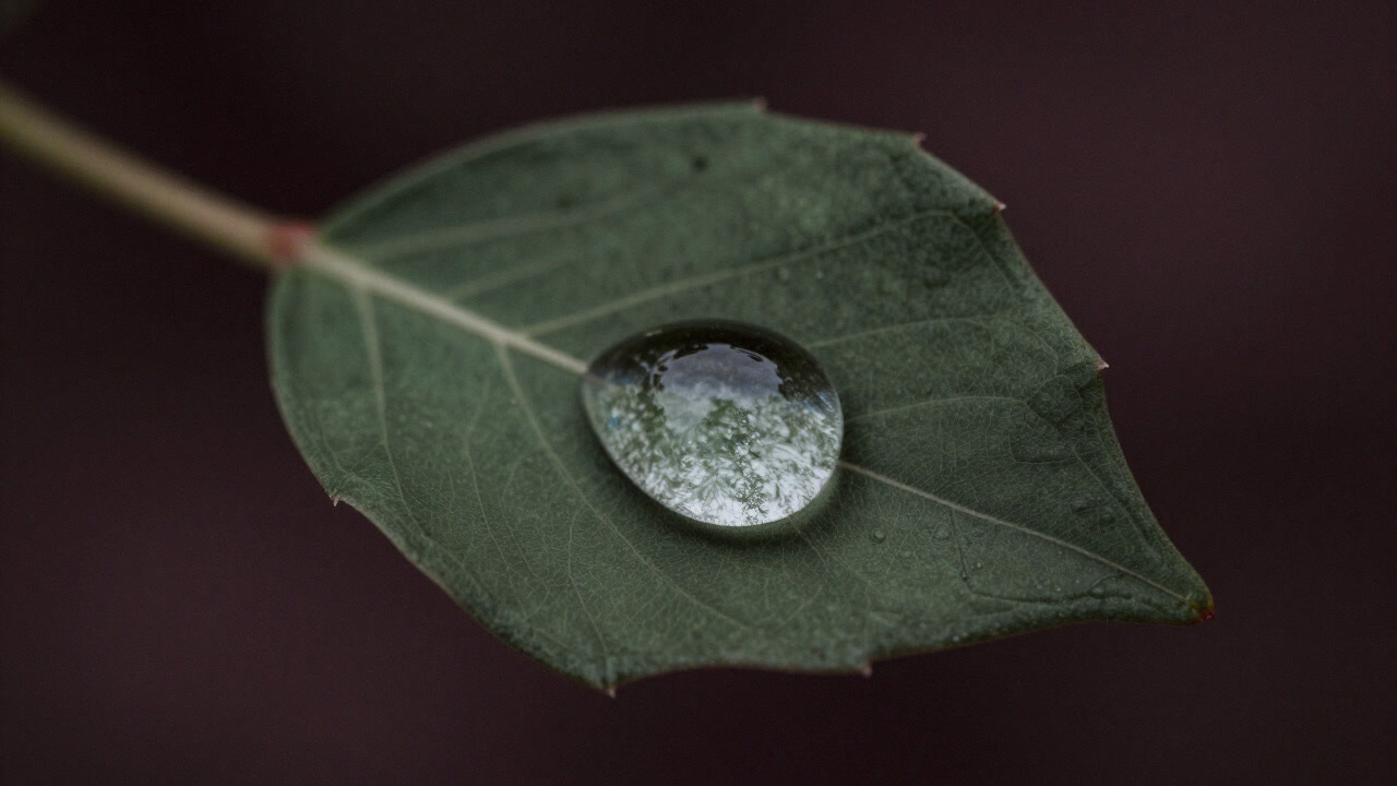 A macro photograph capturing a world reflected in a water droplet on a leaf.