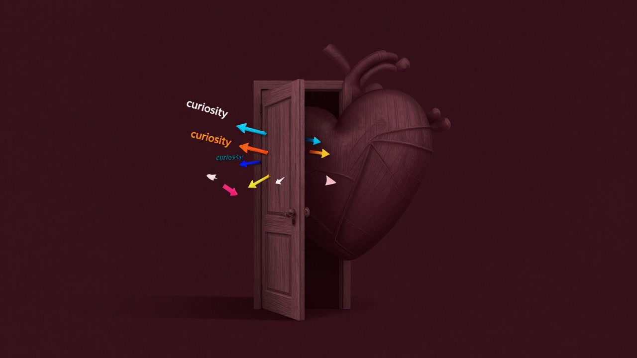 Illustration of an open door to the heart with arrows labeled curiosity flying in