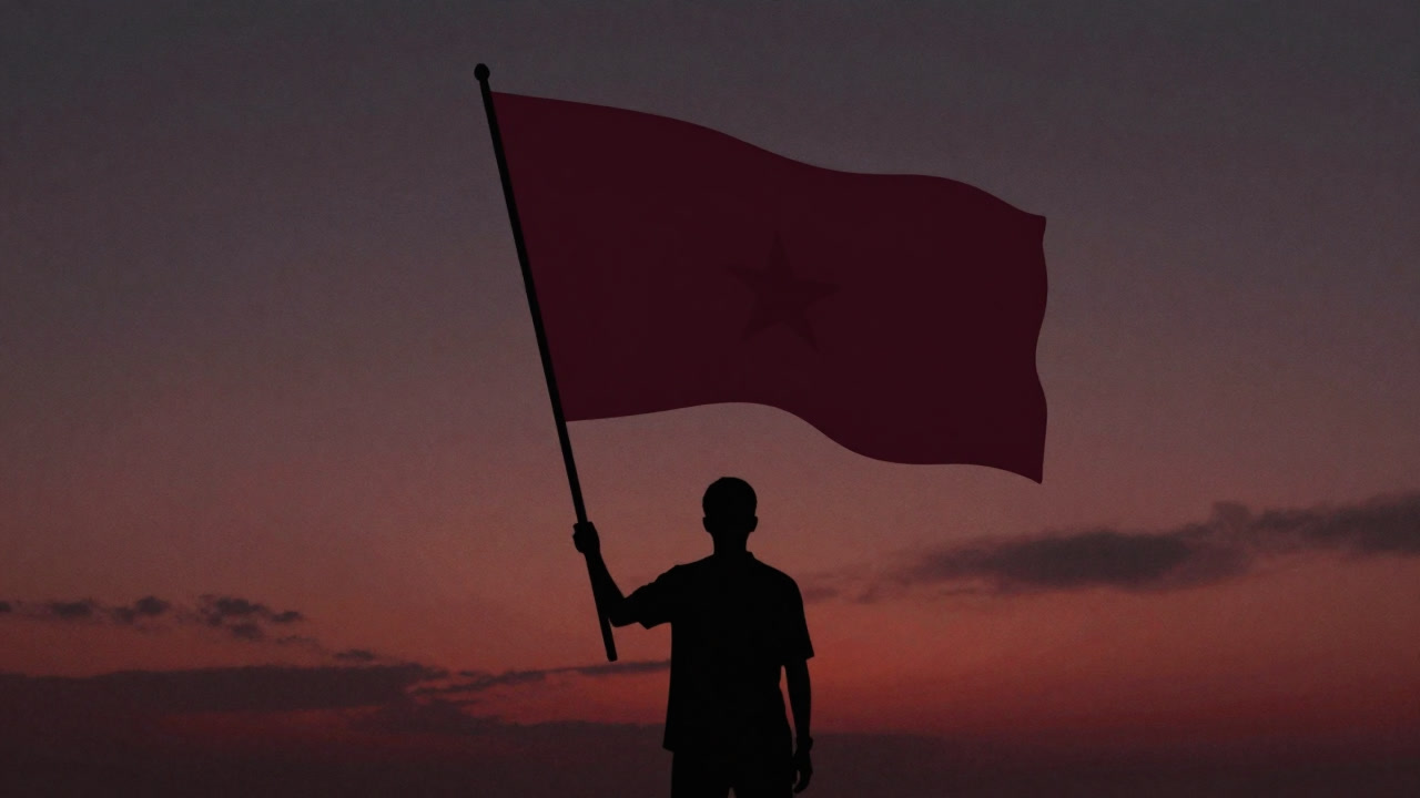 夕日を背景に大きな国旗を掲げる人物のシルエット