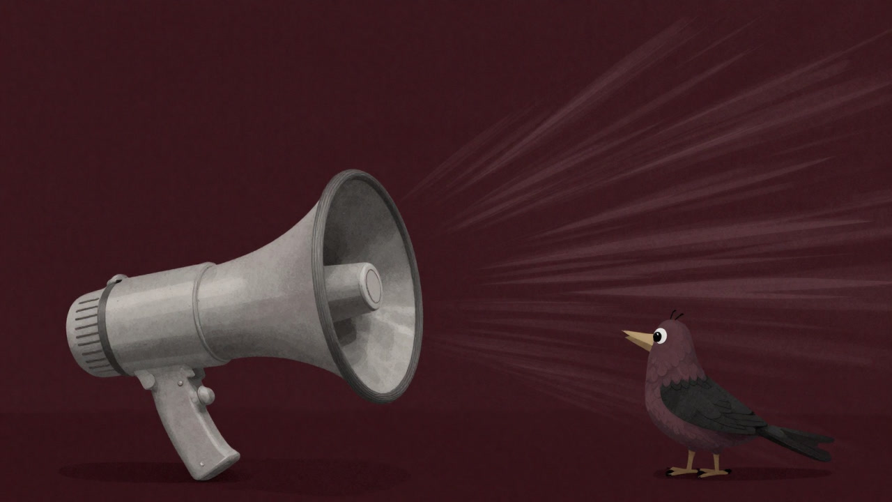誰かのつぶやきを大きな波として再放送する巨大なスピーカーに取り込まれる小さな鳥のイラスト