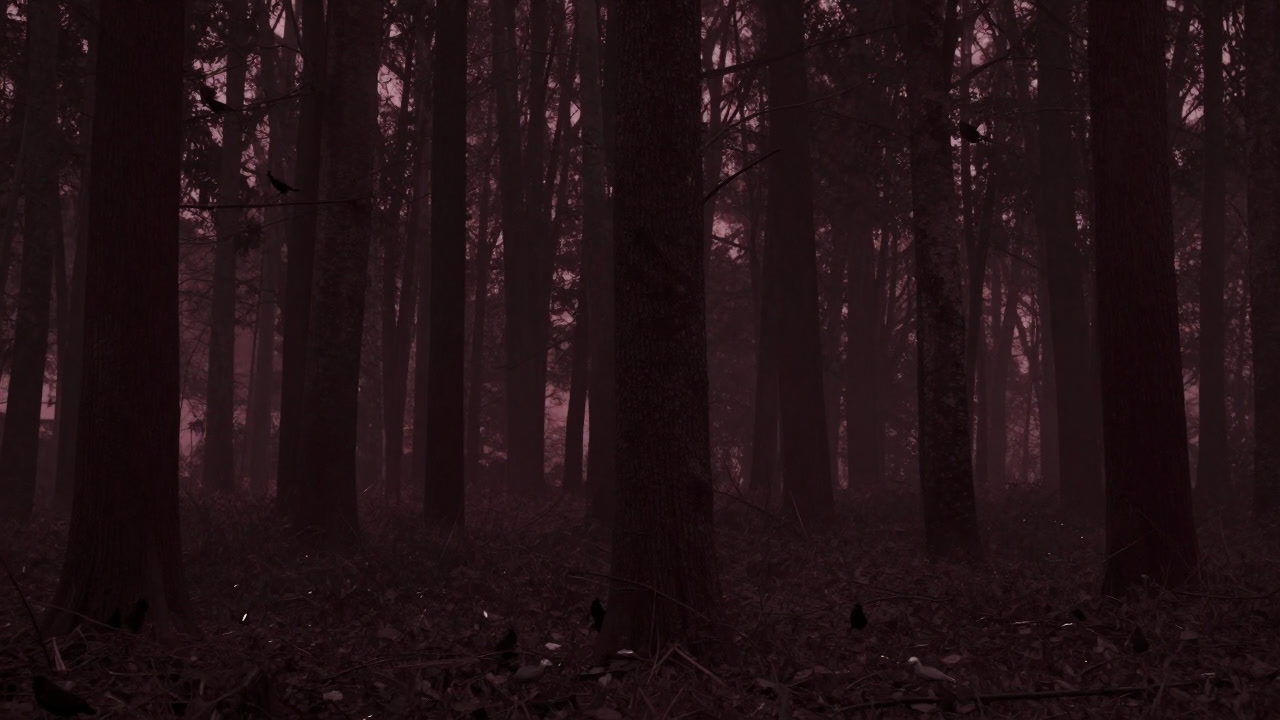 A captured moment where the wind stops and human voices fade, leaving an empty space.