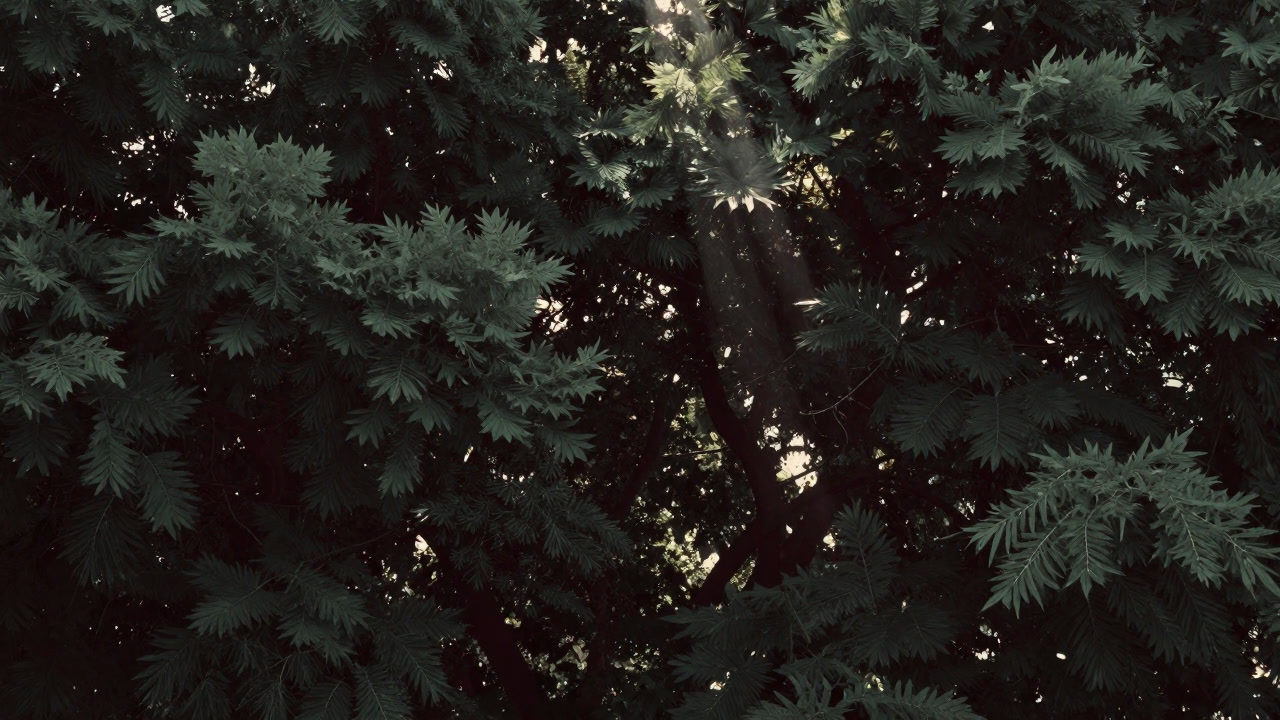 View from below of overlapping green leaves forming a ceiling-like canopy