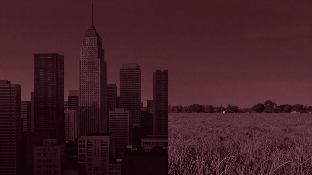 都会の高層ビル群と、手付かずの田畑が半分に分断された風景