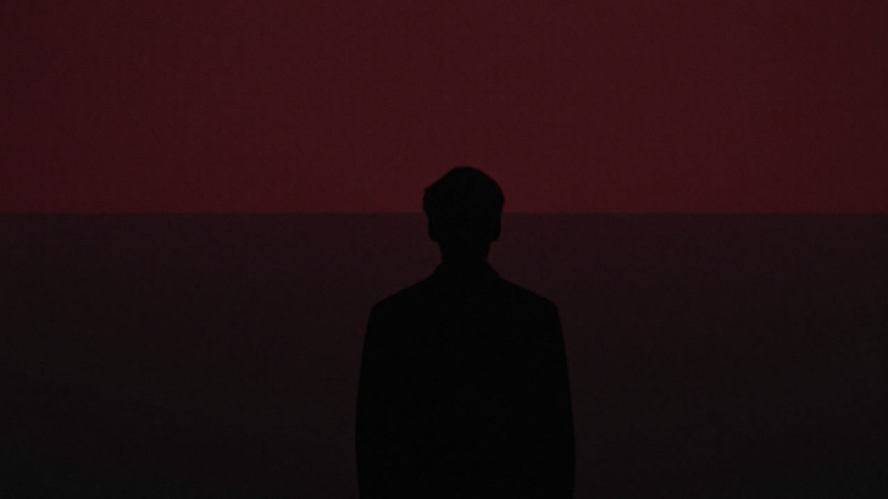 Silhouette of a person gazing into an infinite darkness, merging into the void.