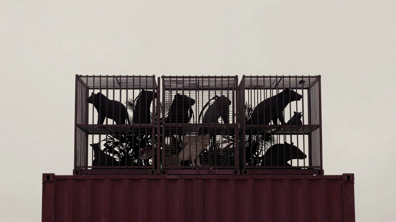 Dark, photo-like image of animals trapped in cages in a night jungle, their shadows stretching toward dim light.